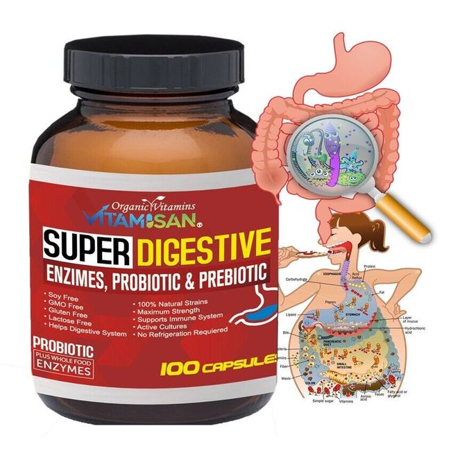 DIGESTIVE ENZYMES DIGESTION, ENERGY, NUTRIENT ABSORPTION BILE SALTS