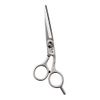 Stainless Steel Cut Scissors