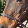 John Whitaker Ready to Ride Leather Headcollar Brown Pony