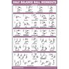 Half Balance Ball Workout Poster - Exercise Chart (LAMINATED, 18" x 24")