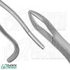Wolf Tooth Extracting Forceps 11” Veterinary Dental Instruments German Grade