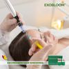 Exosome Scalp Care Complex Kit with Botanical Nutrients