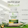 GMP Certified Olive Leaf Capsules with 50% Oleuropein – Third Party Tested