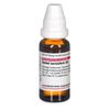 DHU Sabal serrulatum D2 Dilution, 20 ml Lösung