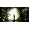 Alqvimia Cardamom Essential Oil, 17 ml