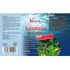 Vanya BaktoActive Biostarter Filter Bacteria 250 ml