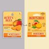 Burt's Bees Mango Moisturizing Lip Balm 0.15 oz