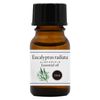 100% Natural Essential Oil Eucalyptus Radiata 10ml