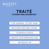 Mastey Traite Shampoo, 32 oz / 946 ml