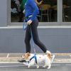 Reflective Dog Leash for Medium Dogs, 5/8" wide, 6' long, Blue