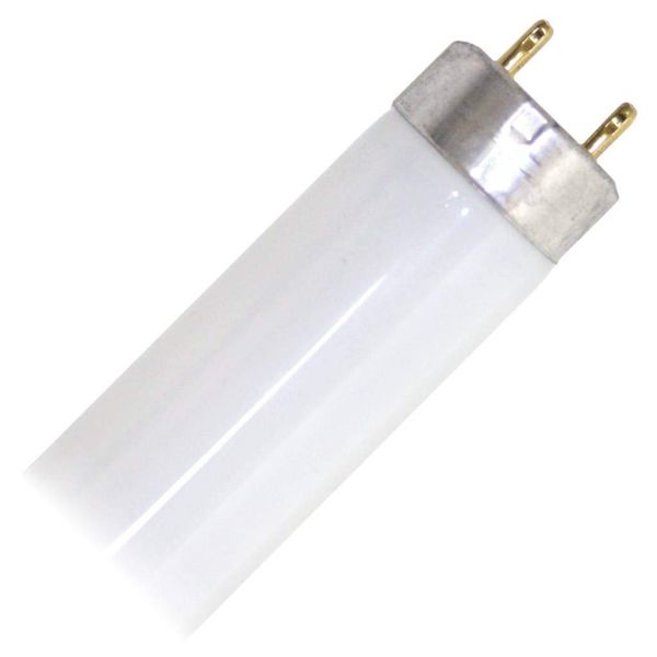 GE 66469 - F32T8/25W/SPP50/ECO Straight T8 Fluorescent Tube Light Bulb