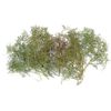 Seafoam Bush & Tree Kit