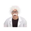 Bristol Novelty BW688 Einstein Wig, One Size