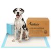 PETSWORLD Great Dane Dog Training Pads 36x36, Case 100