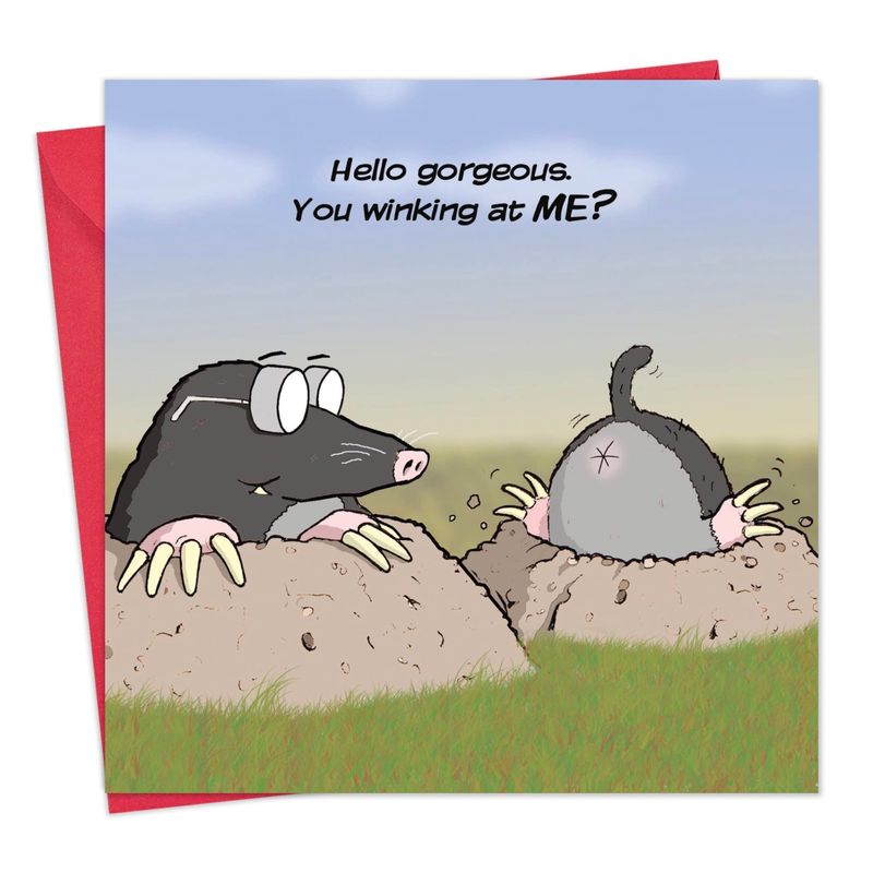 Twizler Funny Card Con Uomo E Donna - Biglietti - Happy Birthday Card