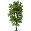 Noch 25895 19 cm High Horse Chestnut Tree Landscape Modelling