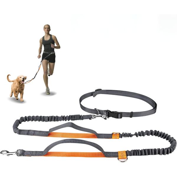 Winkeyes Hands Free Retractable Dog Leash 5ft-8ft with Dual Bungees for Puppy, Small & Medium Dogs 110Ibs, Adjustable Waist Belt 27"-47", Reflective Stitching Leash for Running Walking Hiking (Orange)