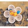 succulent planter, chicken/bird planter,  air plant planters
