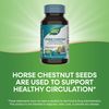 Nature's Way Horse Chestnut, Premium Extract, Promotes Healthy Leg Veins*, 250 mg per Serving, Vegan, 90 Capsules
