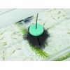 Miplus Medaka Egg Collection Floor, Rollama Balls, TYPE-A, Normal Type, Pack of 10