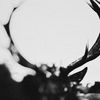 Ihsahn (Orchestral Version) (Limited Hardback Digibook)