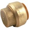SharkBite 1 In. Push-to-Connect Brass End Push Cap | U520LFA