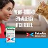 Pataday Once Daily Extra Strength Eye Allergy Itch Relief Drops 1 Count