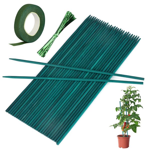 30 Pcs Green Plant Support Sticks Garden Stakes Bamboo Sticks with 30 Yard Florist Tape,Green Garden Sticks for Garden or Home Vegetables Flowers Fruit Support. (12in/30cm)