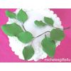Gum Paste 9 Green Sugar Rose Leaves on wires 