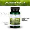 Swanson Lion's Mane Mushroom Capsules - 500 mg Each, 60 Capsules - Herbal Supplement Supporting Cognitive Function (2 Pack)