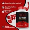 Sugar Defender Pills, Official Sugar Defender 24 Max Strength (1 Pack)