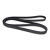 Contitech 6PK2535 V-Ribbed Belt