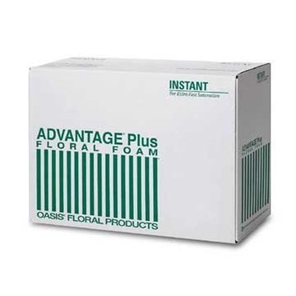 Oasis® Advantage® Plus Floral Foam (Case of 24 Bricks)