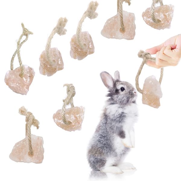 Hamiledyi Hamster Lick Salt Block on Rope Natural Small Animal Mineral Salt Block Chew Toys with Hanging Rope Rat Mineral Salt Chew Treat Supplies for Bunny Chinchilla Ferret 8PCS