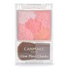 Canmake Tokyo Glow Fleur Cheeks - 02