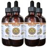 Burdock (Arctium Lappa) Liquid Extract 4x4 oz