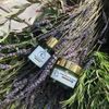 La Provençale Le Baume de Jouvence Nuit Bio 50ml