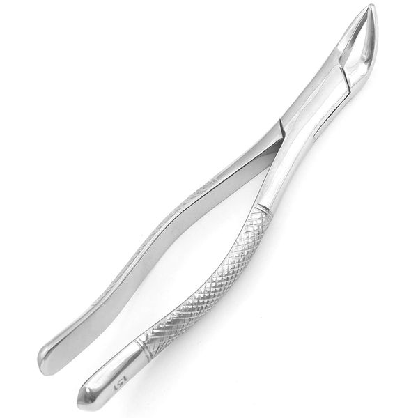 OdontoMed2011 GERMAN GRADE STAINLESS STEEL EXTRACTING FORCEPS #151 DENTAL INSTRUMENTS ODM