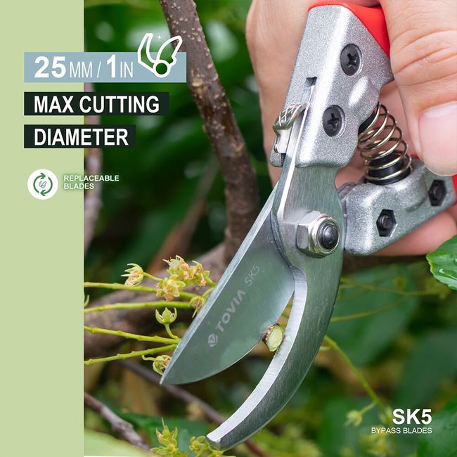 Garden Pruner Shears SK5 Blade Pruning Scissors for Bonsai Fruit Trees  Flowers Branches Garden Pruners