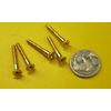 Brass #6  Phillips Flat Head Wood Screw x 1.00" Length, 100 Pcs