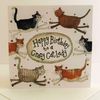 Alex Clark Crazy Cat Lady Birthday Card