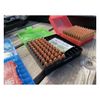 MTM 100 Round Flip-Top Ammo Box 38/357 Cal (Clear Green/Black)