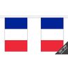 France Bunting (30 flags) 9m