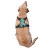 Cute Dachshund No Pull Dog Harness Adjustable Soft Padded Pet Vest with Easy Control Handle Large