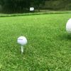Light (LITE) Transparent Low Profile Non Slice Tee-MAX T-396 Clear (170)