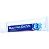 TRAUMON Gel 5% 100 g