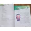 Abeka Developing Good Health Grade 4 Third Edition