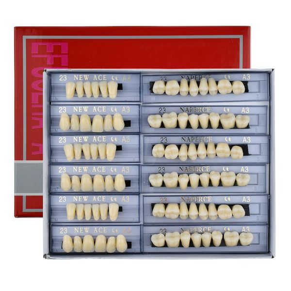 WINDI Denture Care 168pcs/set Dental Acrylic Resin Denture Kit Halloween Horror Props White Denture 23 A3 Up & Down Dental