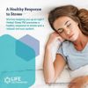 Herbal Sleep PM, 30 capsules