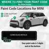 ERA Paints A58 - Mellow Yellow for MINI Exact Match Automotive Touch Up Paint Jar - Basic Kit
